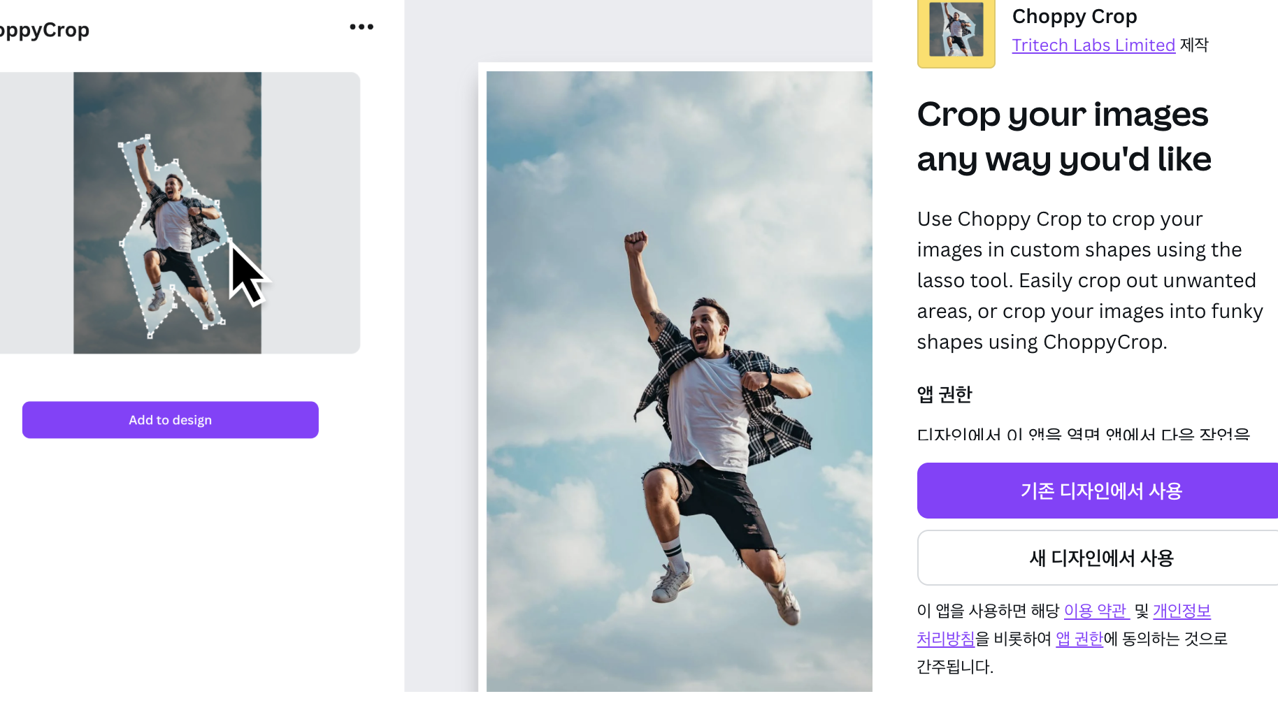 캔바 임베딩 연습 20250920 1